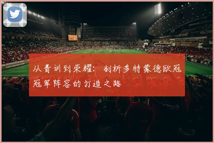 从青训到荣耀：剖析多特蒙德欧冠冠军阵容的打造之路