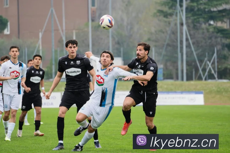 星空体育首页官网APP 封面图